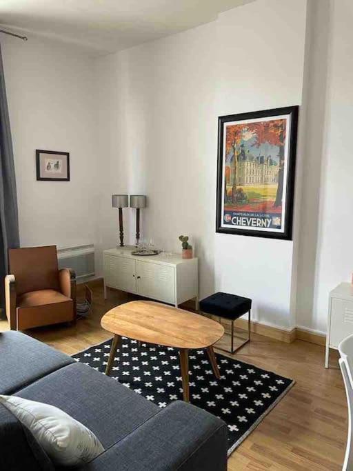 Appartement ~Rosa Bonheur~Hyper Centre à Blois Extérieur photo